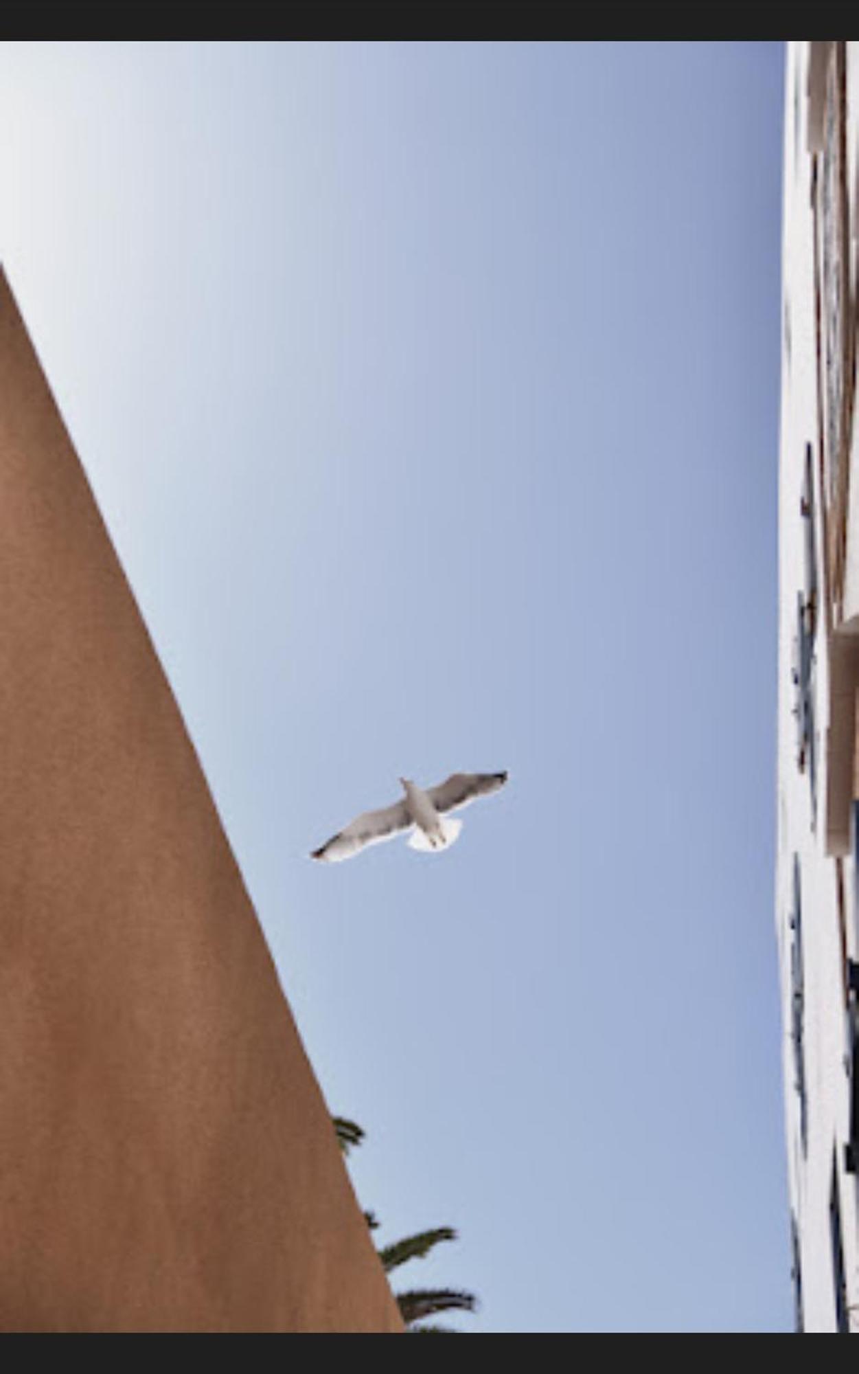 Ferienwohnung Loft Incroyable En Medina Essaouira Exterior foto